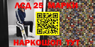 прущие крисы Аргун