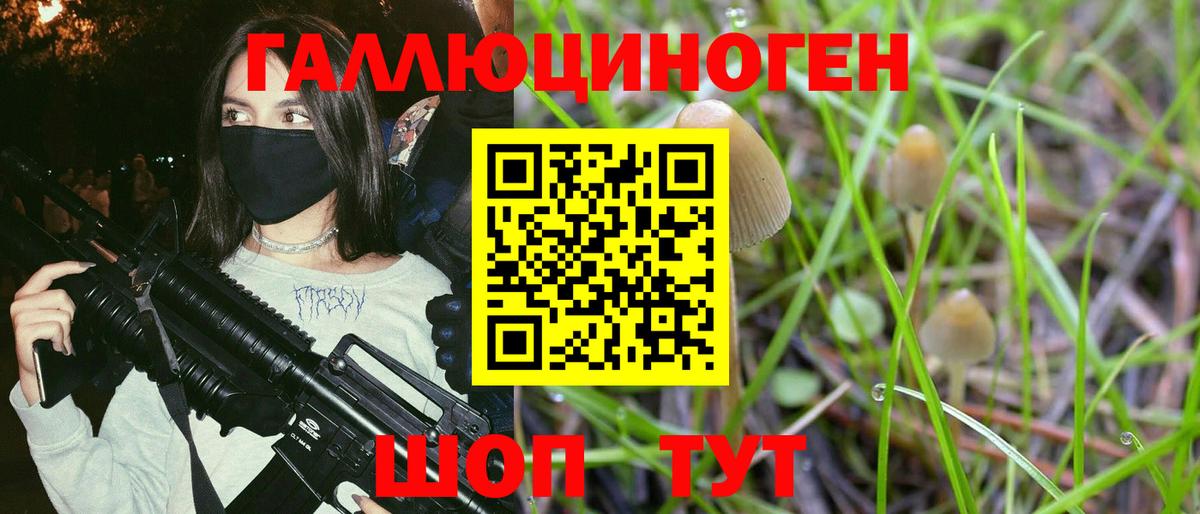 Псилоцибиновые грибы Psilocybe  Вход с VPN  Большой Камень 